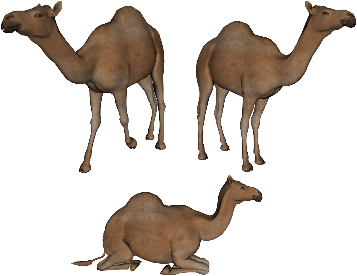 download camel png image png image pngimg #21397