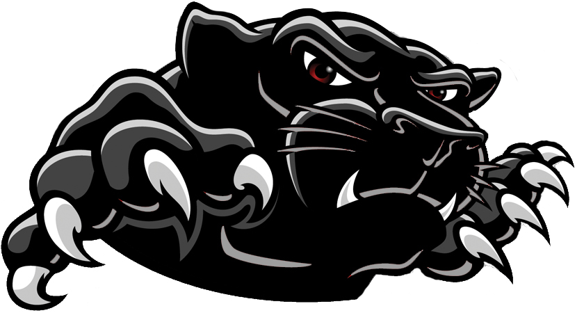 Carolina Panthers Png Logo Free Transparent Png Logos