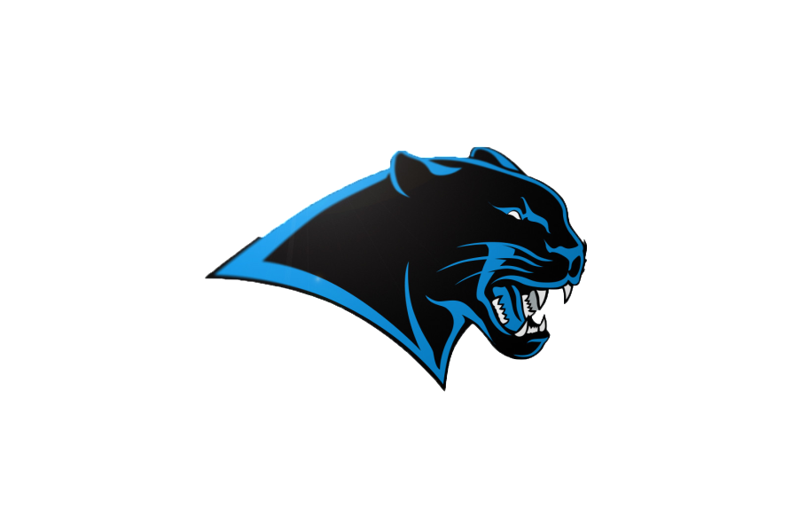 couch rider report, carolina panthers png logo #6735