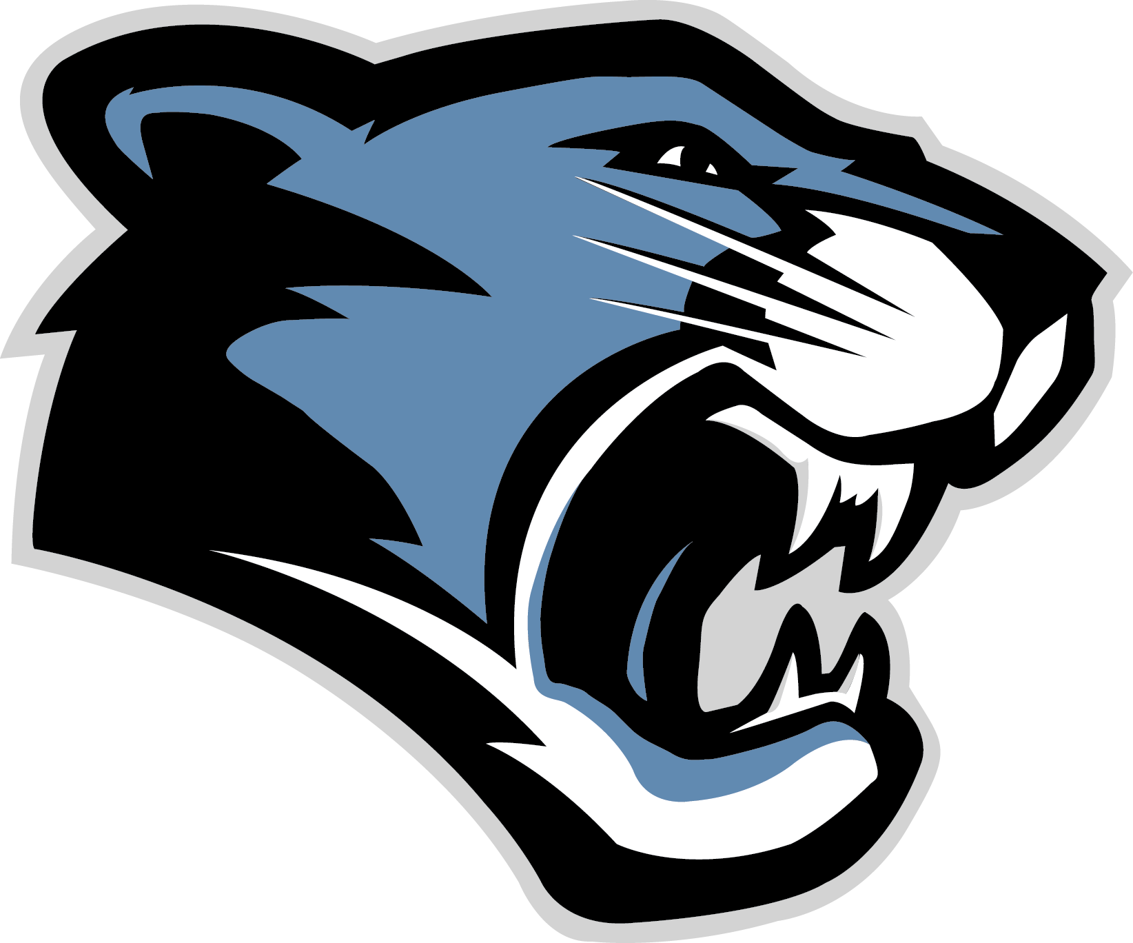 sports block carolina panthers png logo #6750