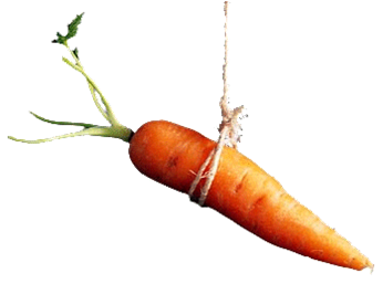 Carrot