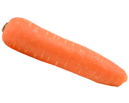 carrot, dowdswel shear bolts #17591