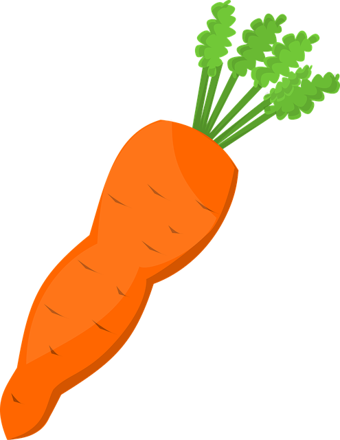 carrot food greens vector graphic pixabay #17702