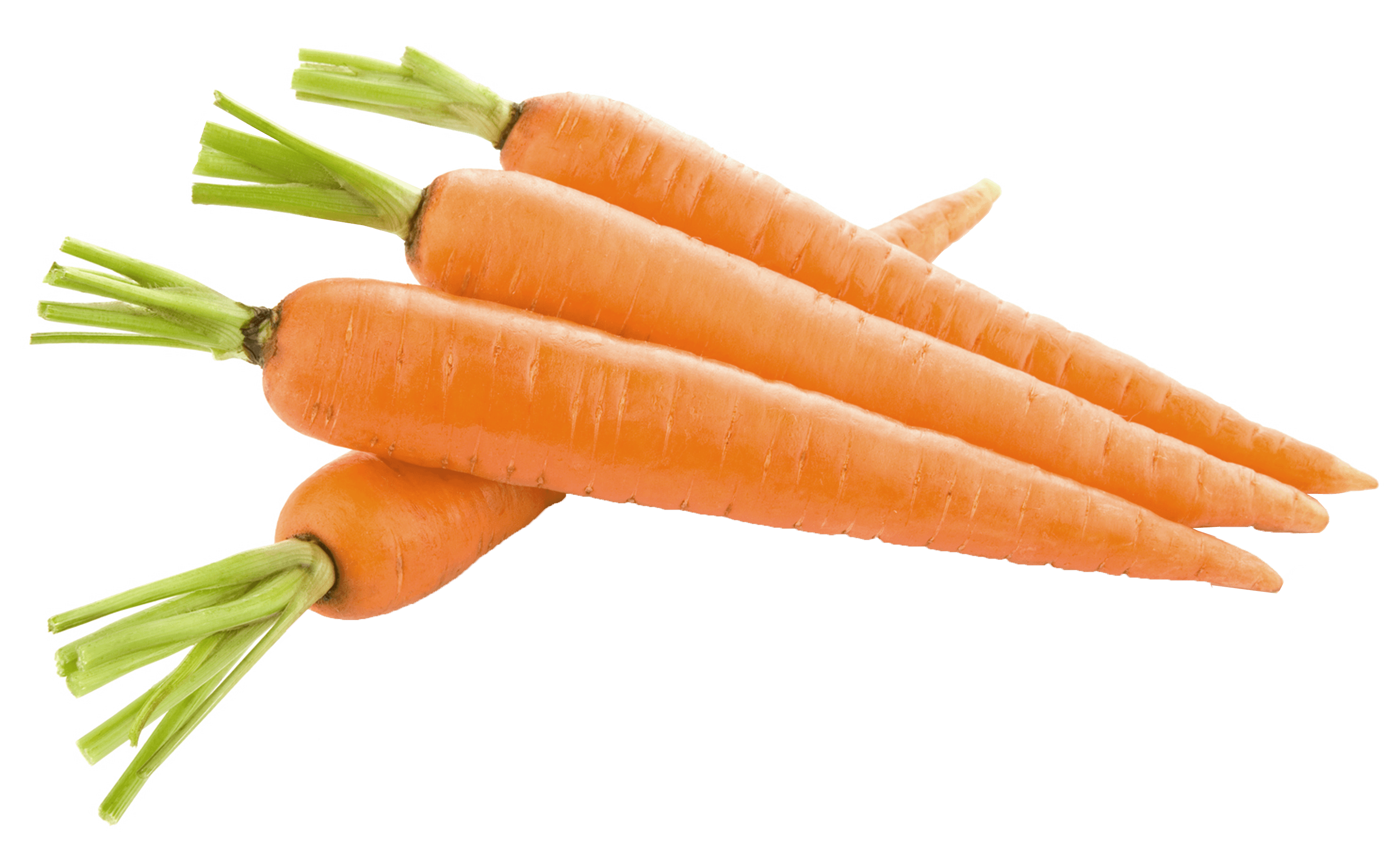 Carrot