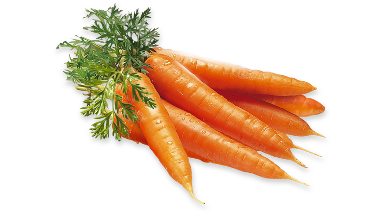 carrot, green bites cafe san jose meal prep fitness food #17575