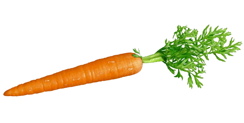 carrot, ingredients the secret sauce medical marketing #17587
