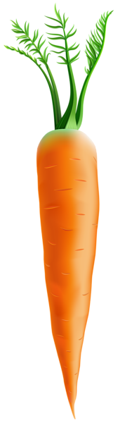 carrot png clip art image gallery yopriceville high #17700