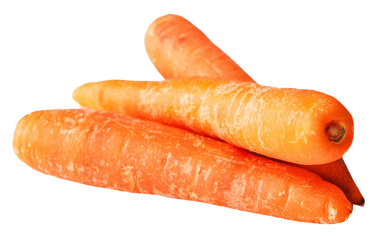 carrot png image pngpix #17584