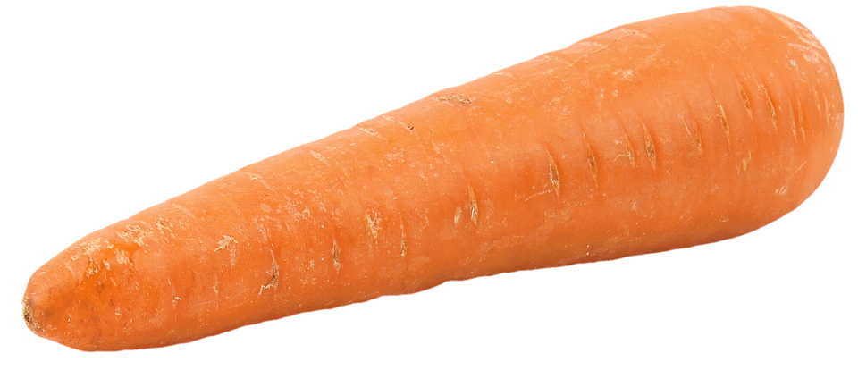 carrot png transparent images png only #17598