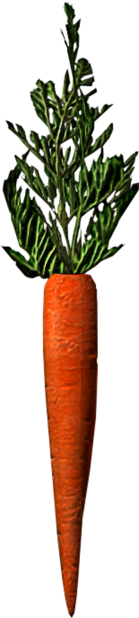 carrot skyrim the elder scrolls wiki #17698