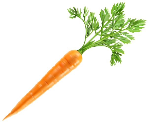 fresh carrot png clip art image gallery yopriceville #17595