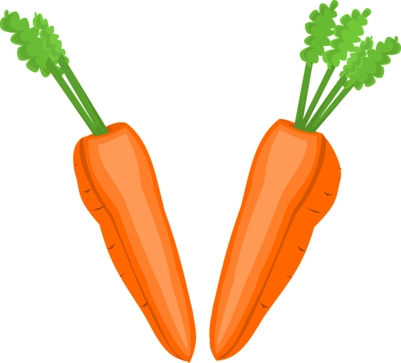 vector graphic carrot cut greens half hearty #17599