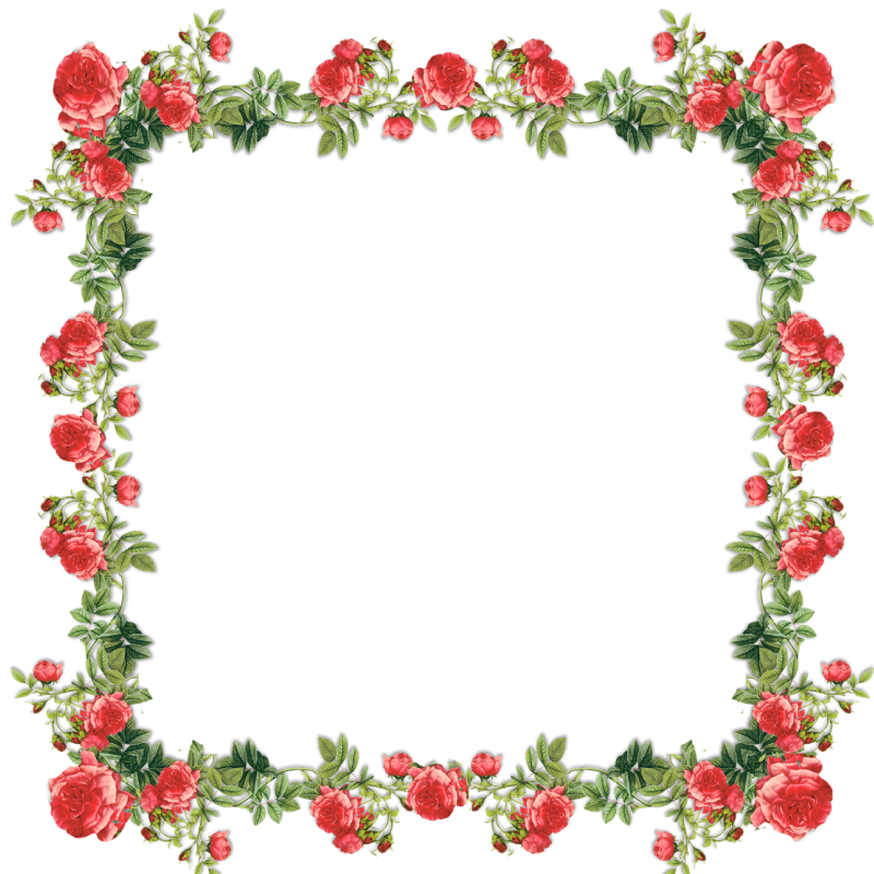 güller çiçekler çerçeve frame border #35918