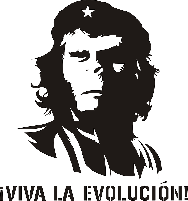 monkey evolution che guevara humor revolution domain pictures pictures #30308