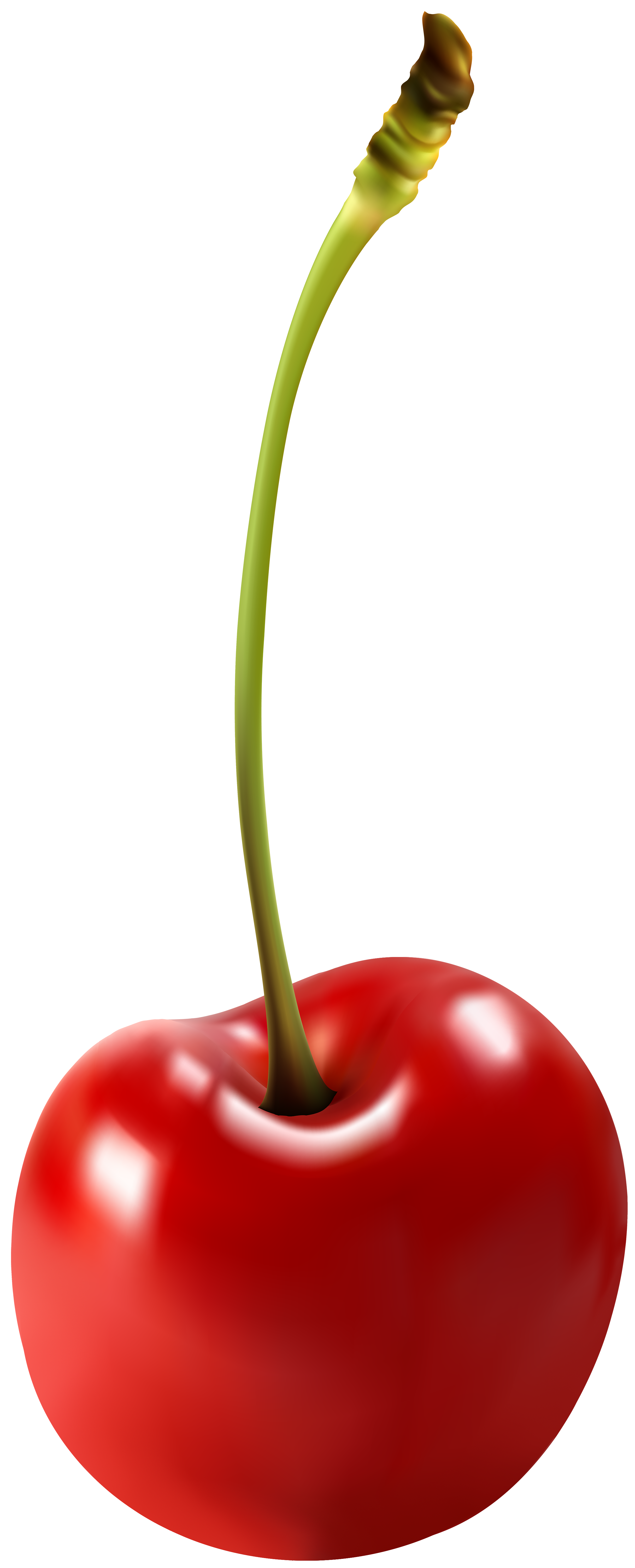 cherry clipart transparent pencil and color cherry #24613