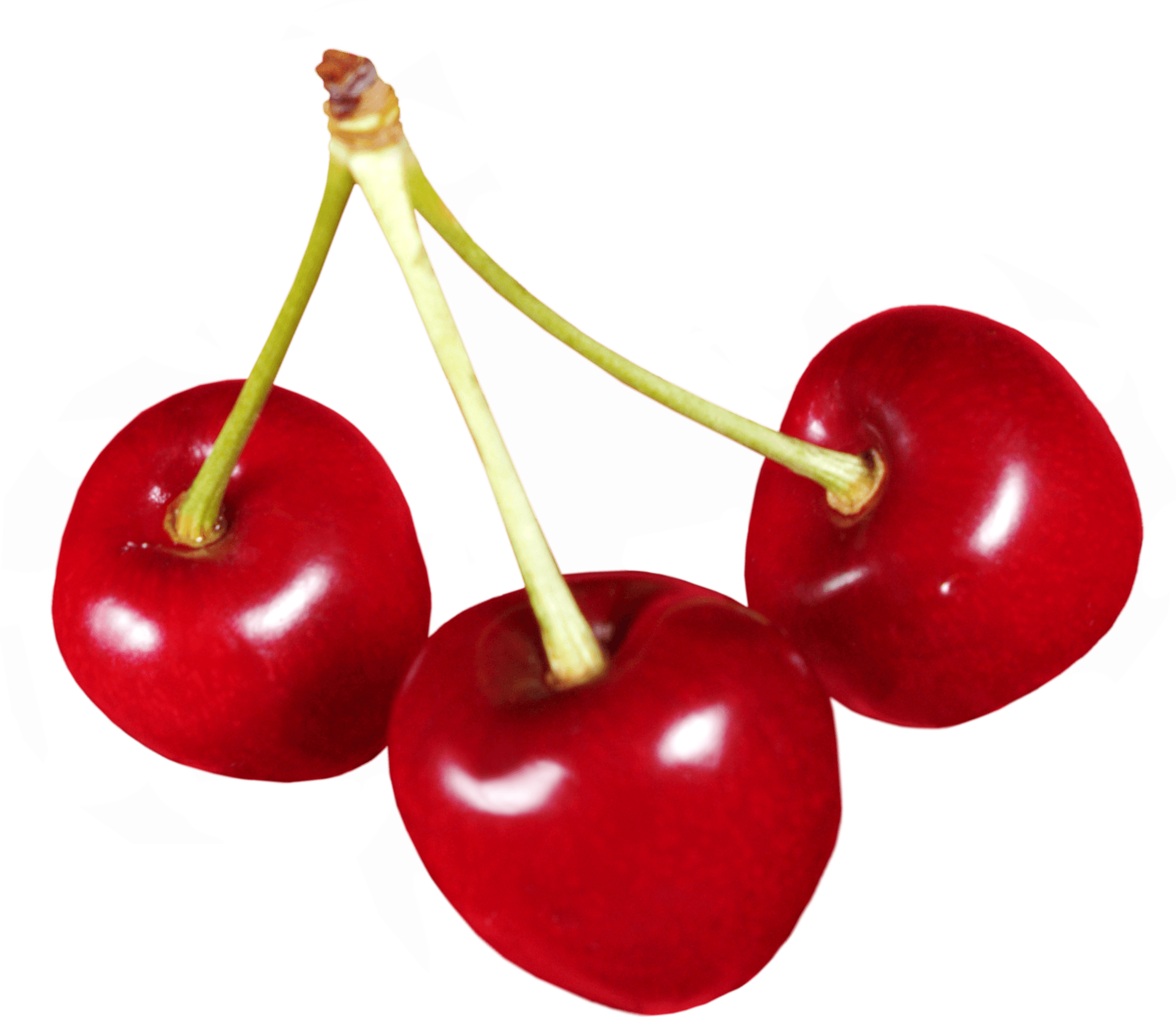 cherry, download cherries png image png image pngimg #24596