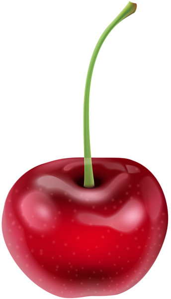 cherry png clip art image gallery yopriceville high #24605