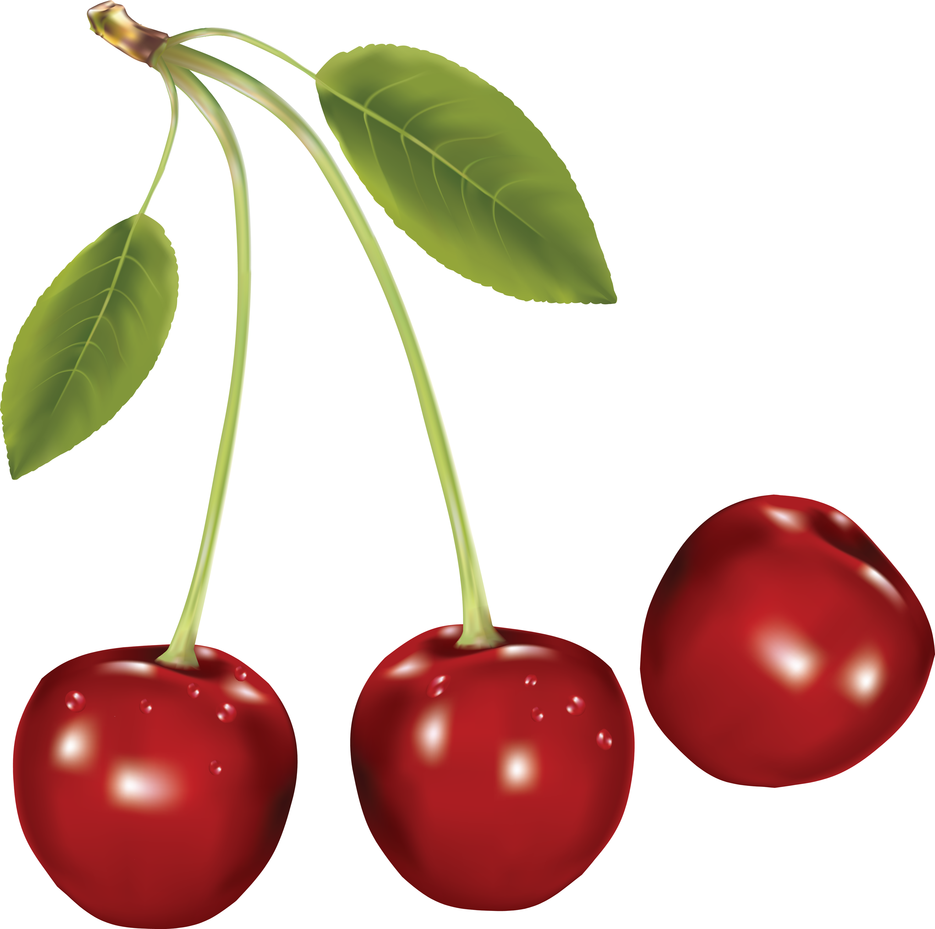 cherry png transparent images png only #24535