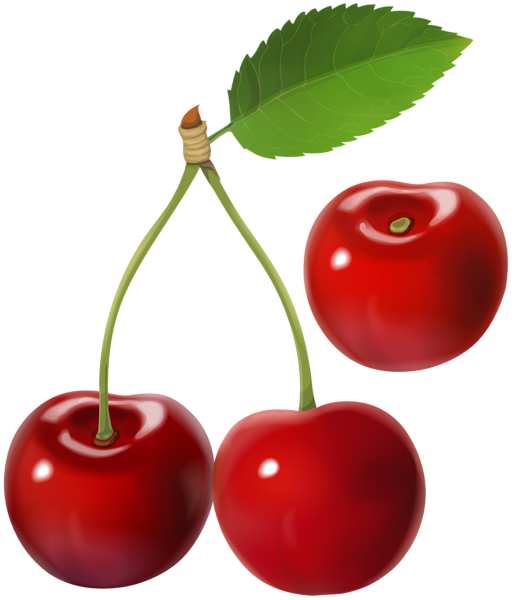 cherry transparent image gallery yopriceville high #24591