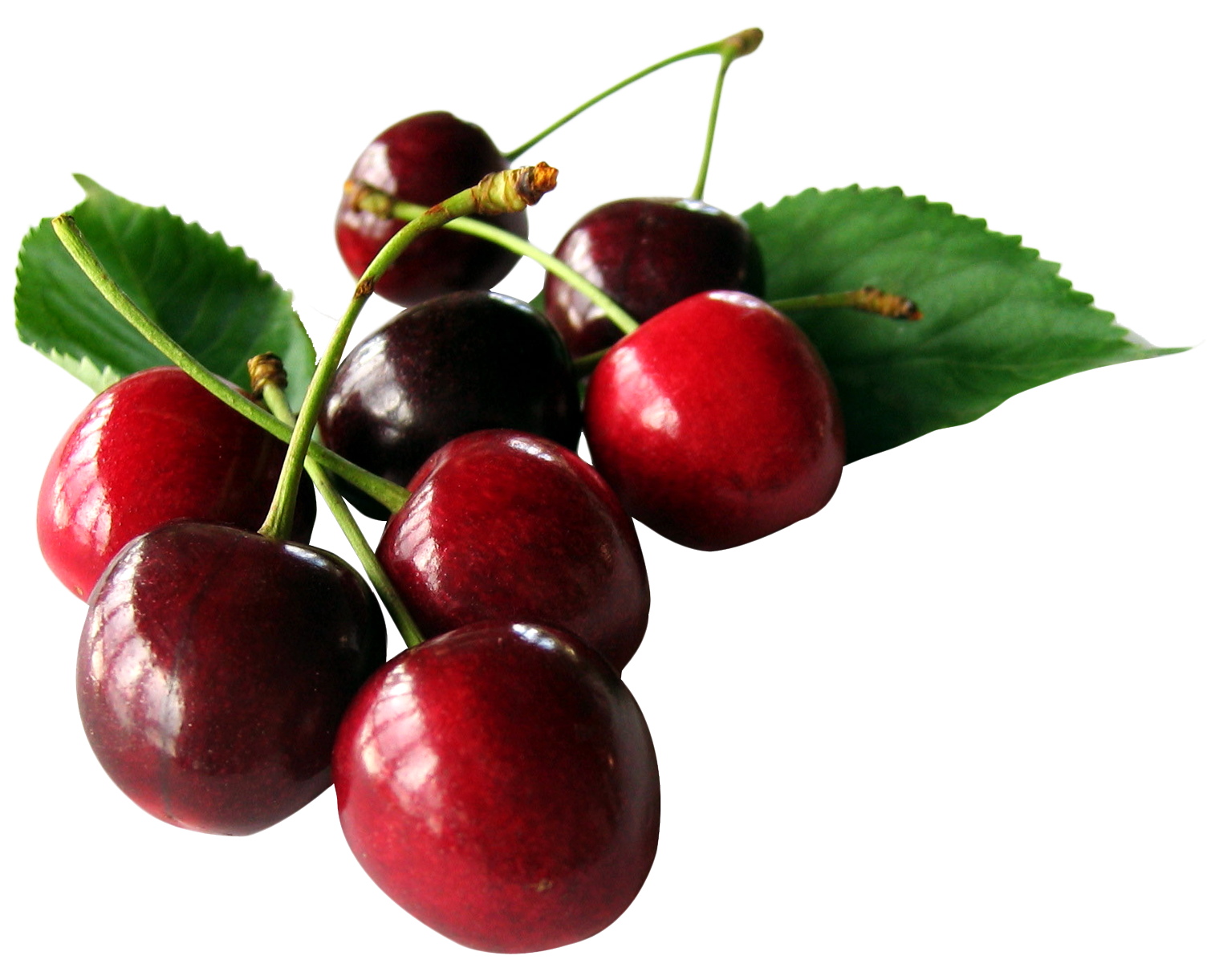 cherry with leaf png image pngpix #24620