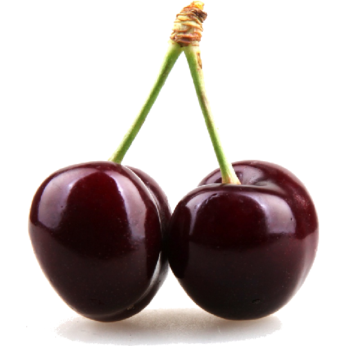 download black cherry clipart png image pngimg #24593