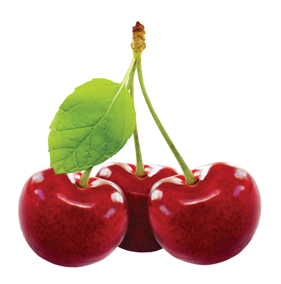 download cherry fruit image png image pngimg #24499