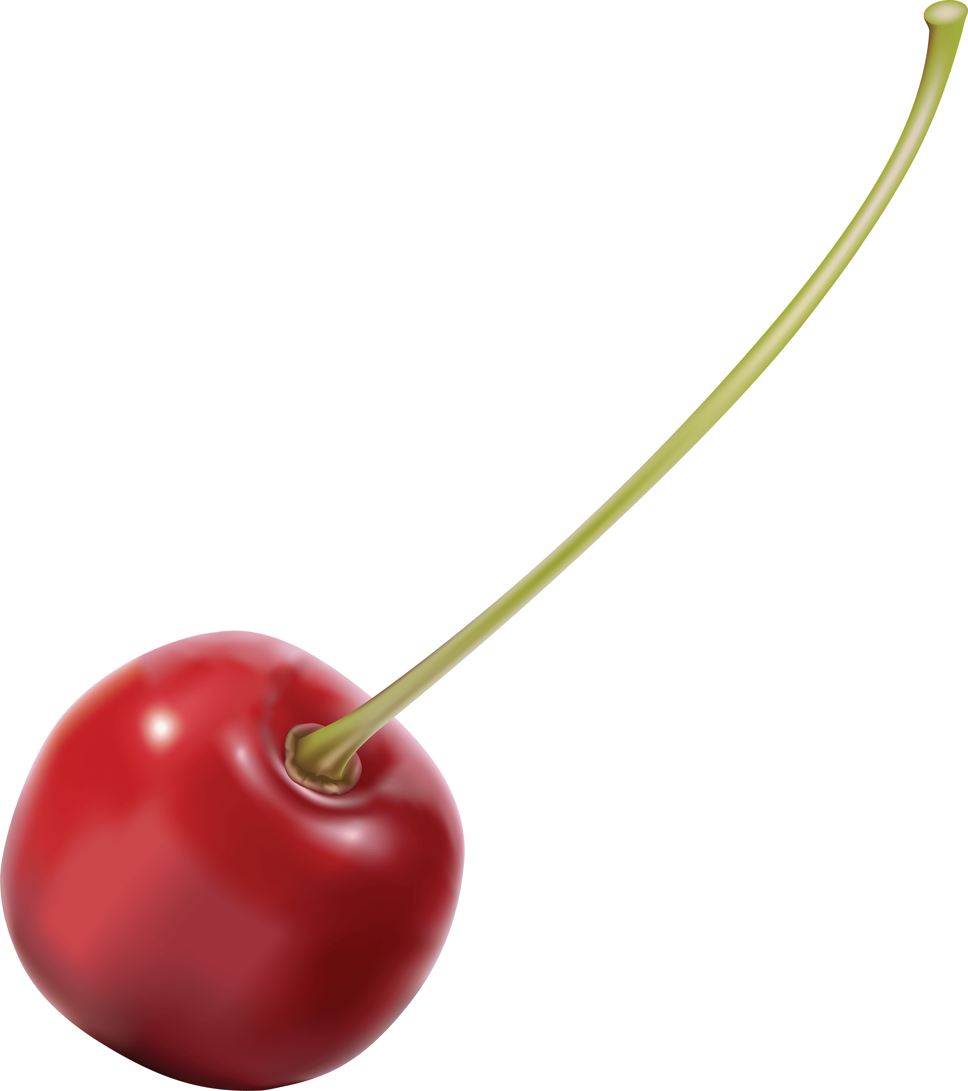 download cherry png image png image pngimg #24592