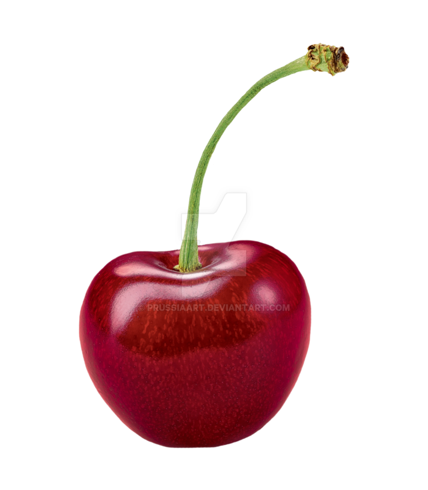 Cherry Png Transparent Images Pictures Photos Png Art - vrogue.co