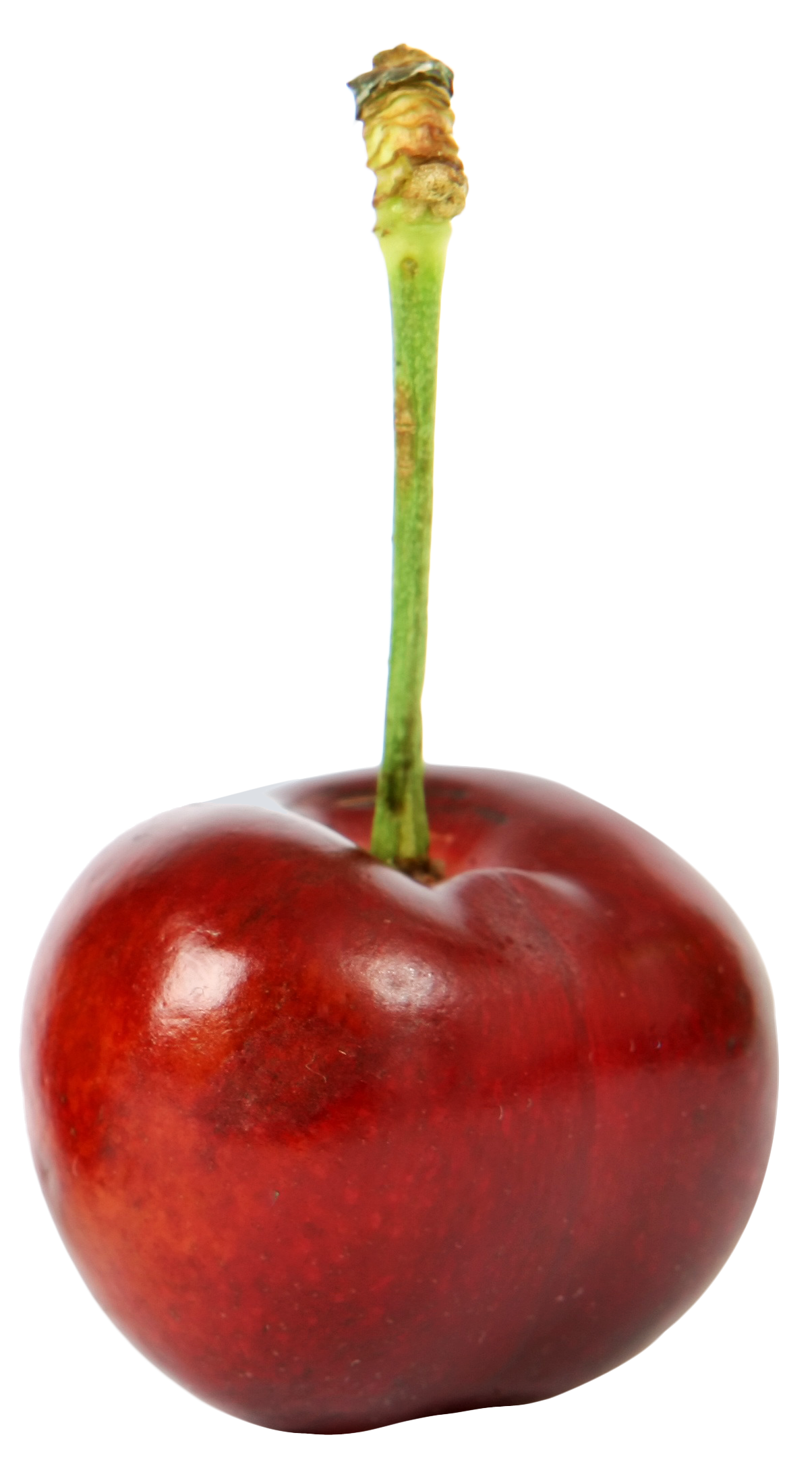 sweet ripe cherry png image pngpix #24491