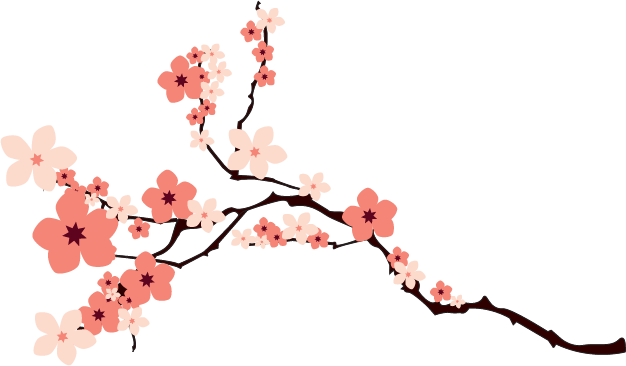 cherry blossom png transparent image icons #25254
