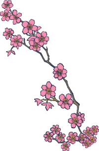 image cherry blossom dragonvale wiki #25262