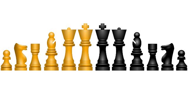 Chess board icon on transparent background Vector Image