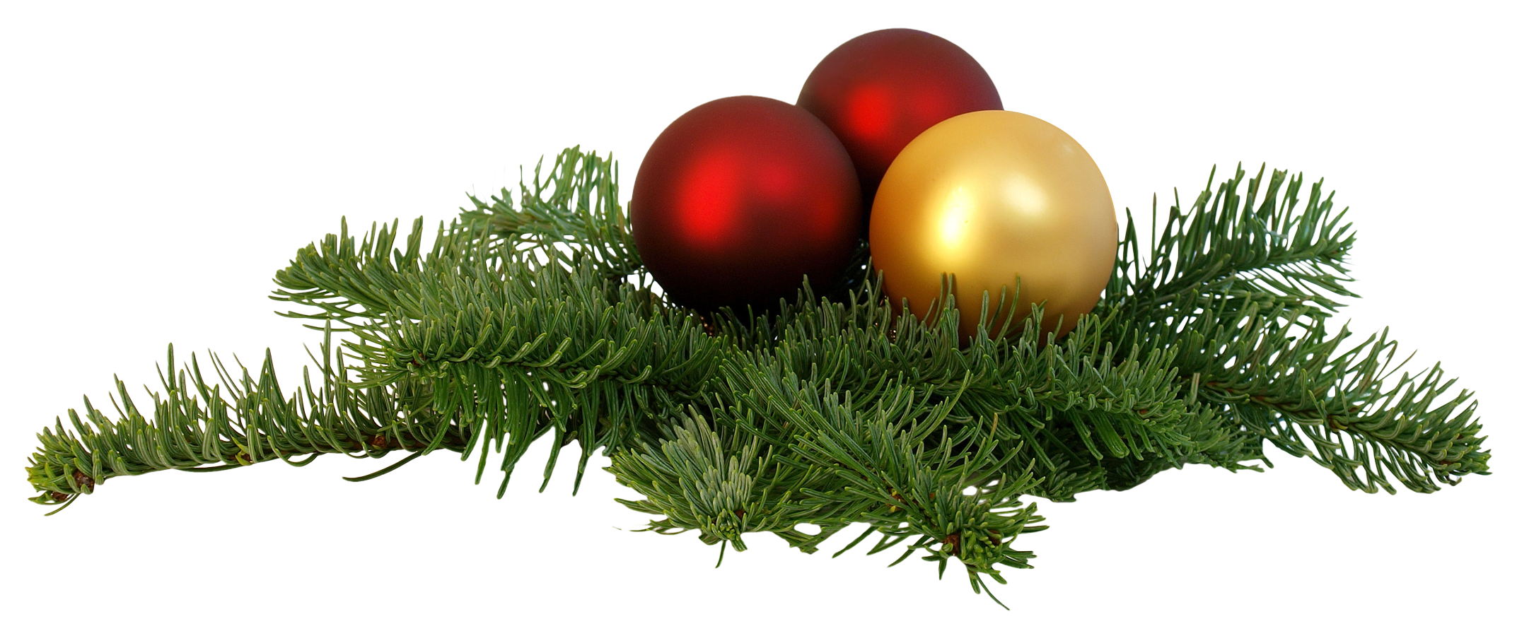 christmas branch png transparent image pngpix #9599