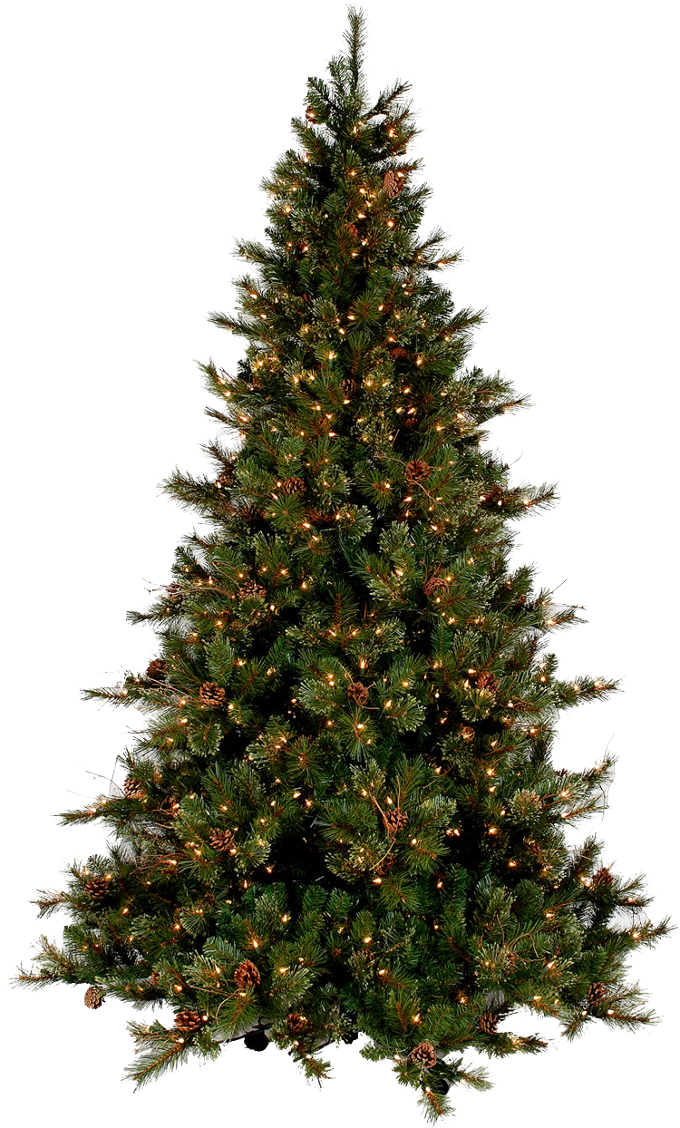 christmas tree png transparent images download #11685