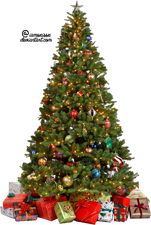 christmas tree png xmas tree png iamszissz deviantart #11679