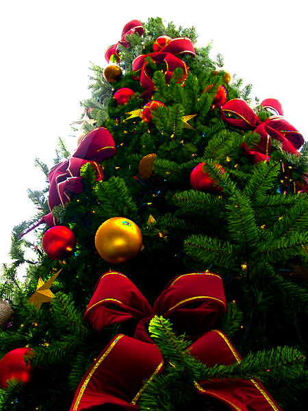 Christmas Tree