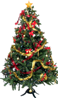 image christmas tree once upon time wiki #11656