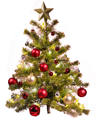 small christmas tree transparent background png image #11631