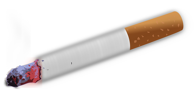 cigarette tobacco smoking vector graphic pixabay #16429