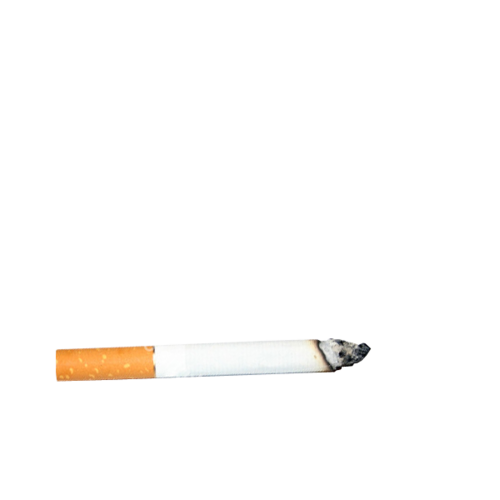 Cigarette