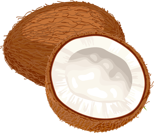 coconut clipart cartoon picture #8783