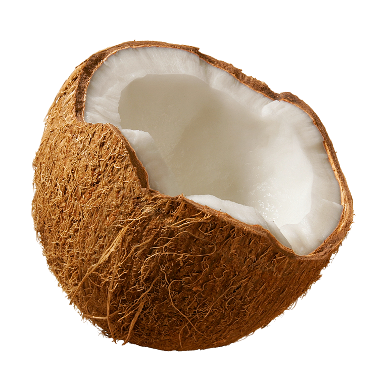 coconut images download #8779