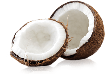 Coconut