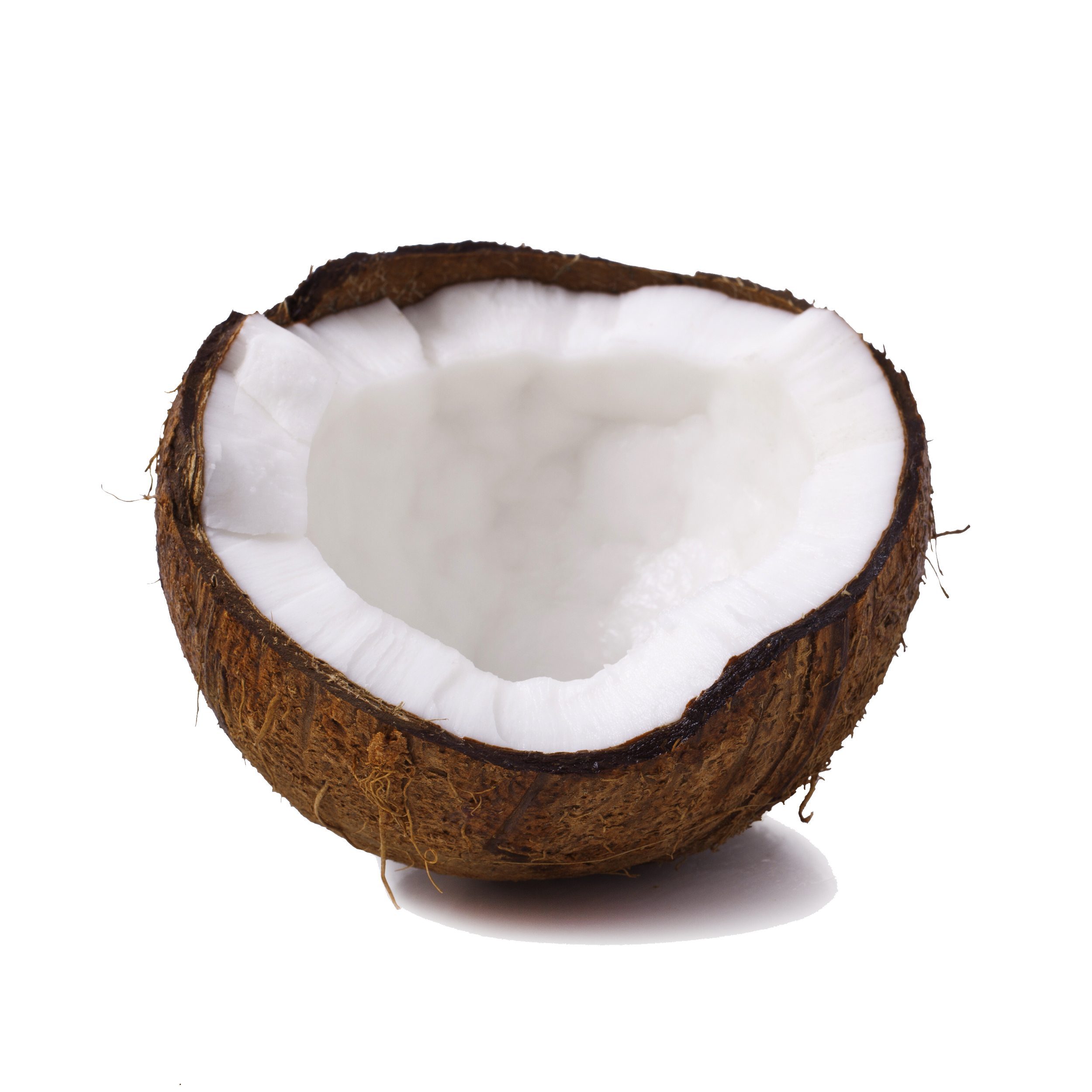 coconut transparent images only #8775