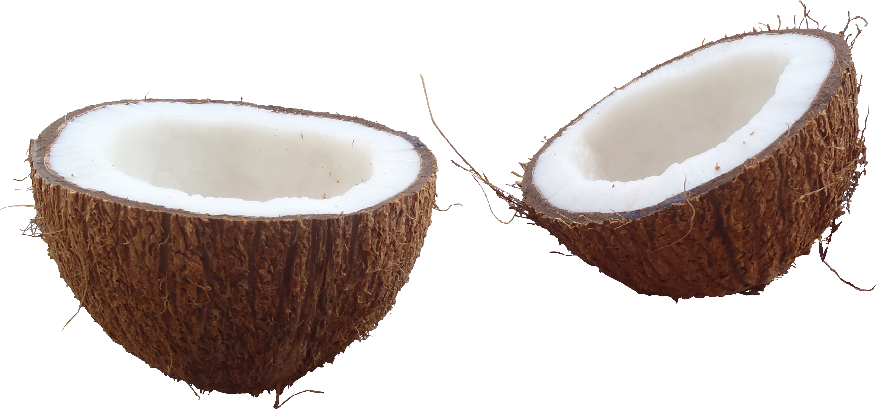 Coconut PNG Pictures, Coconut Fresh Fruits Tropical