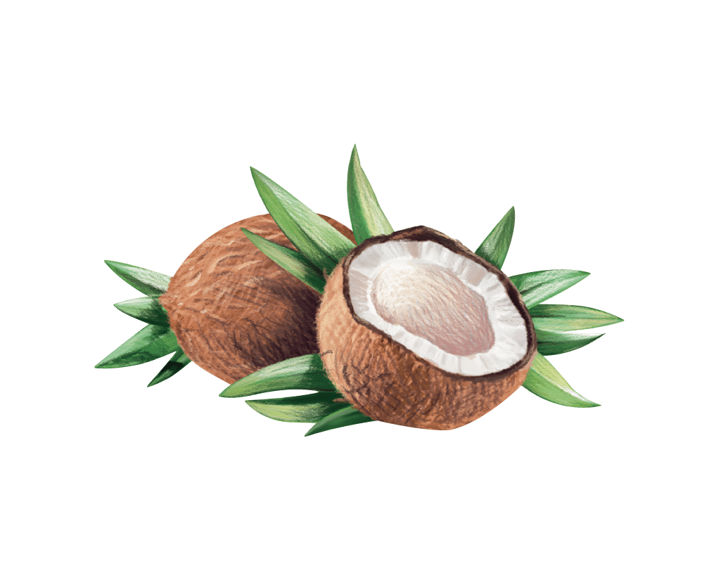organic virgin coconut artisan oils tourangelle #8790