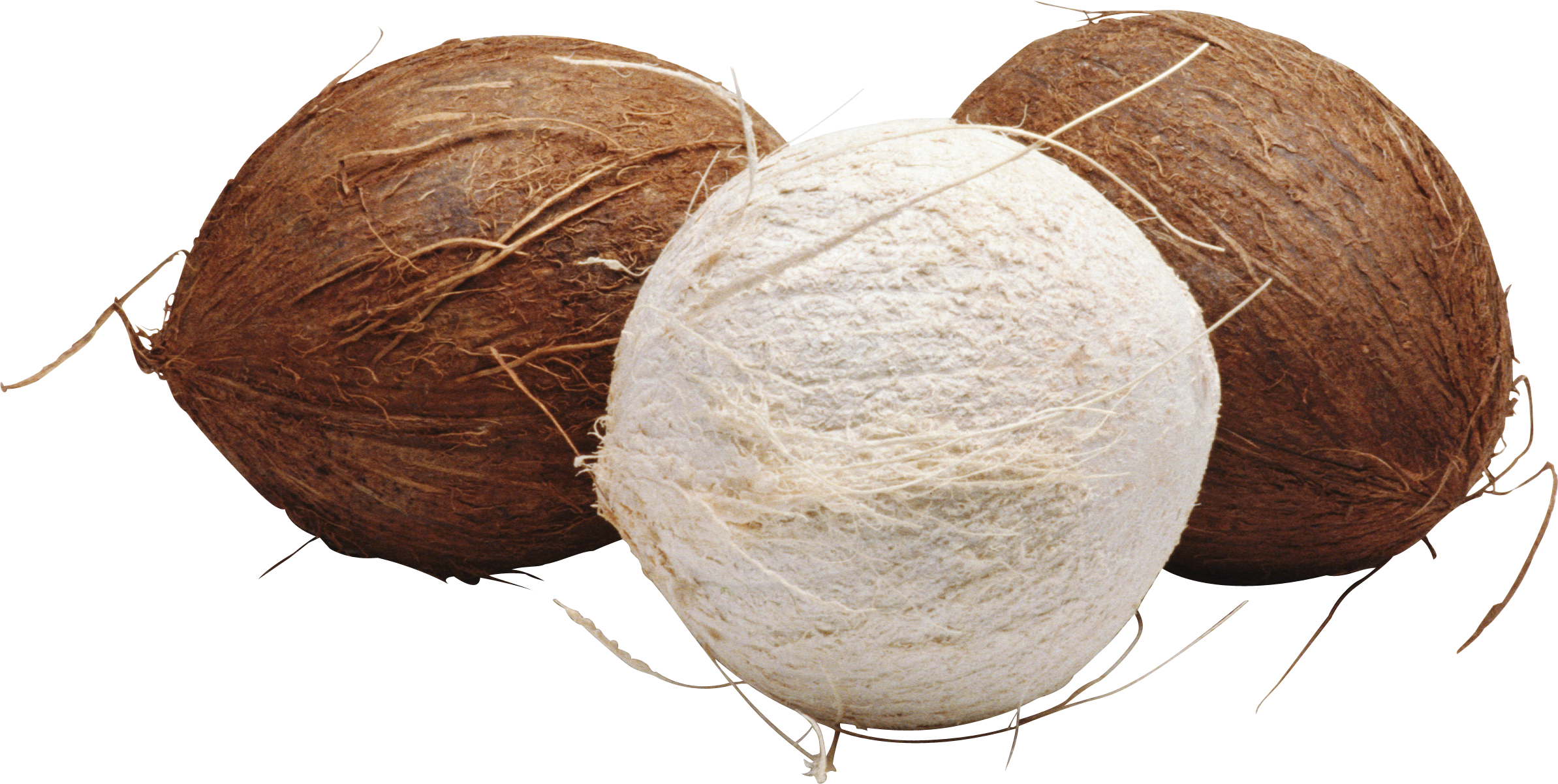 three coconut images, brown, white #8792