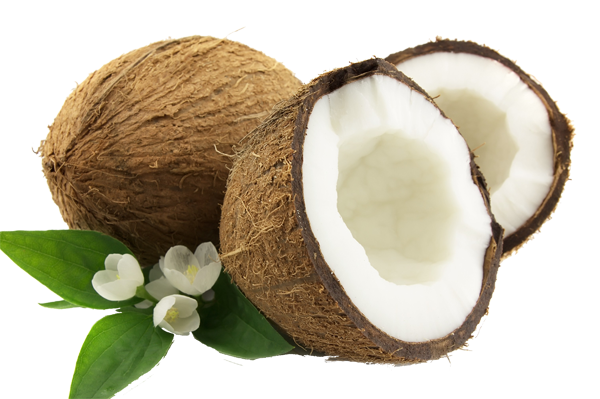 well health embedded coconut itself #8767