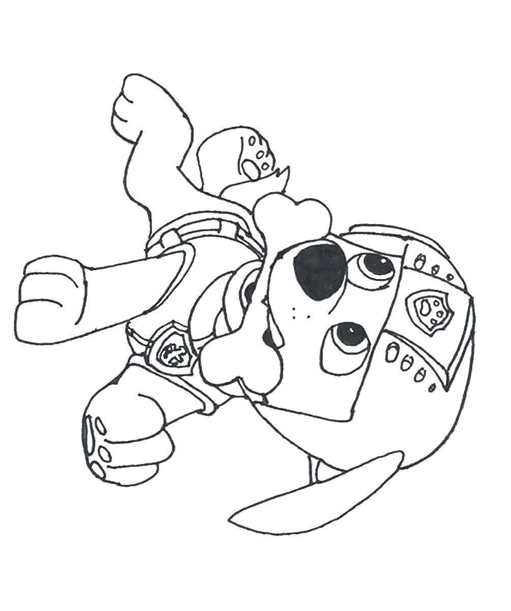 coloring pages of paw patrol raul #2644