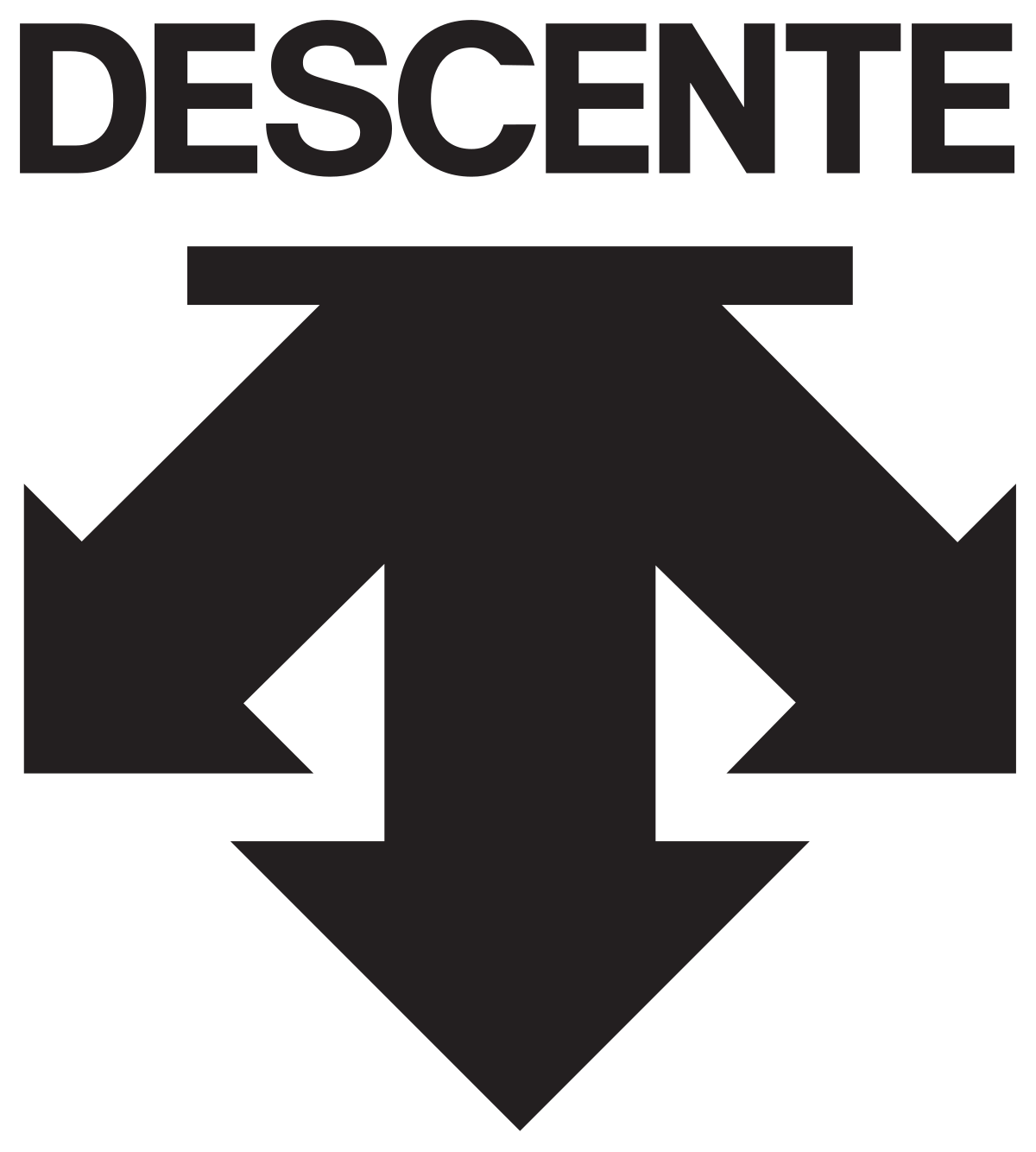 company logo descente #32509